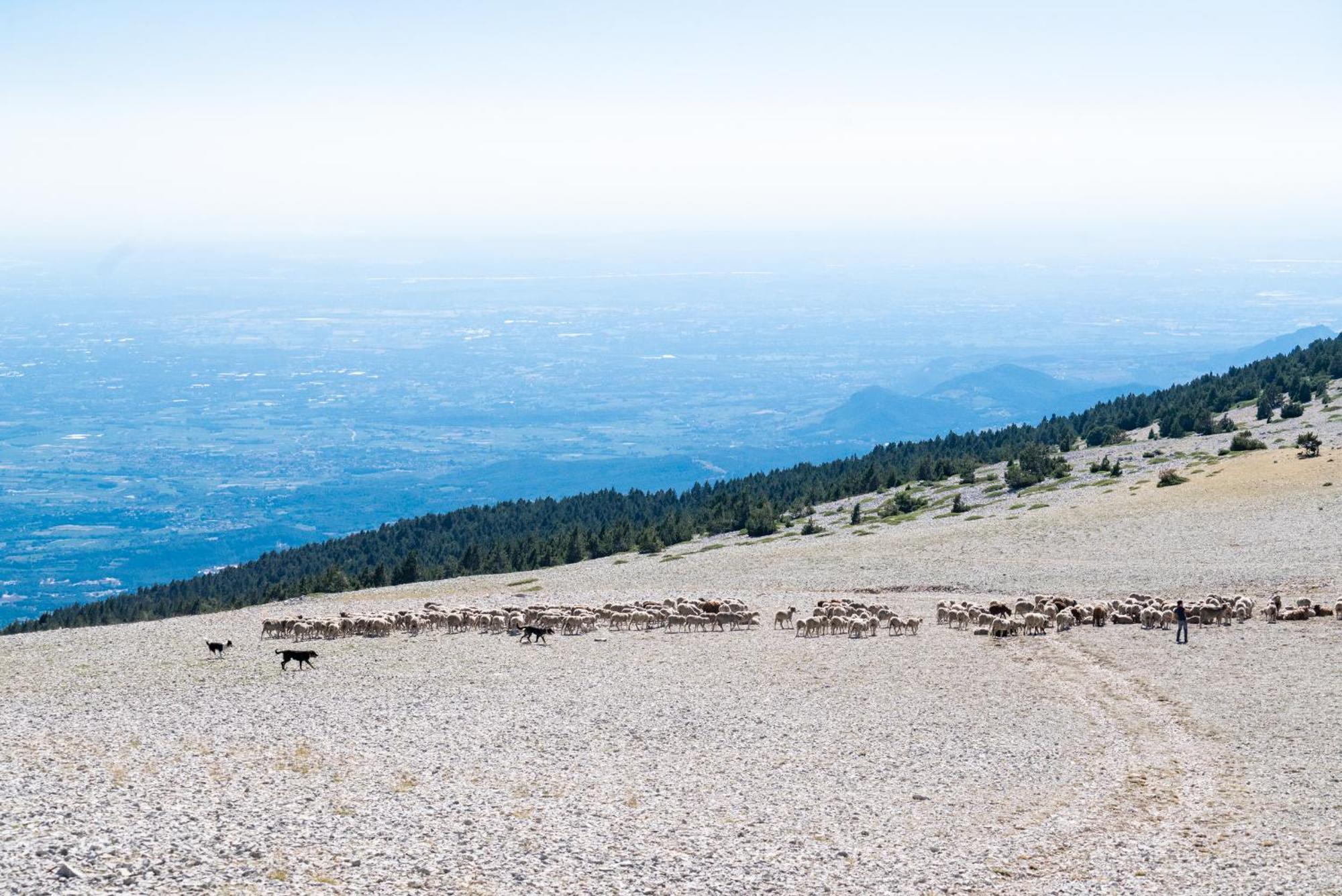 Les Terrasses De Cascavelle Villa Blauvac Dış mekan fotoğraf