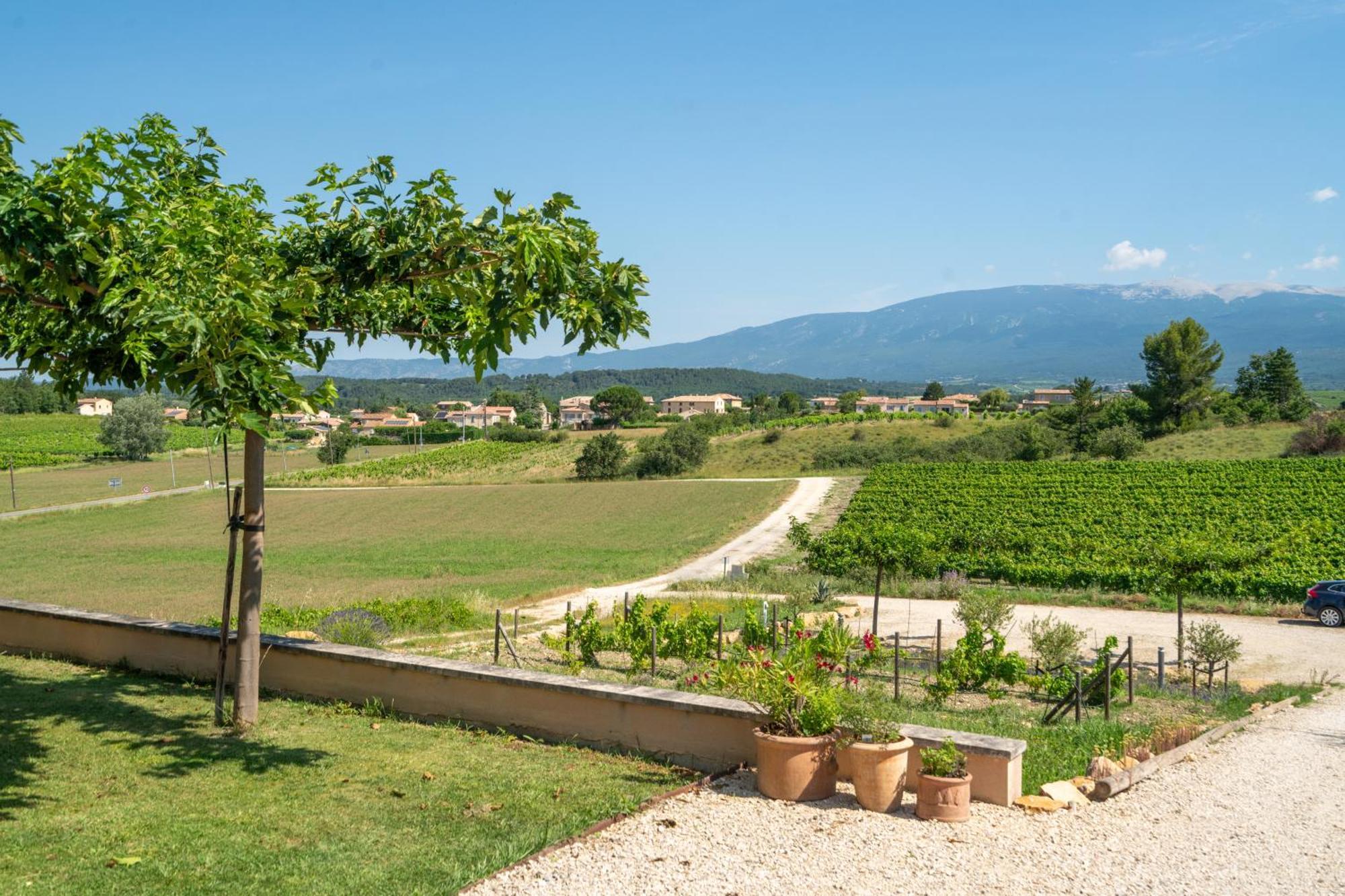 Les Terrasses De Cascavelle Villa Blauvac Dış mekan fotoğraf
