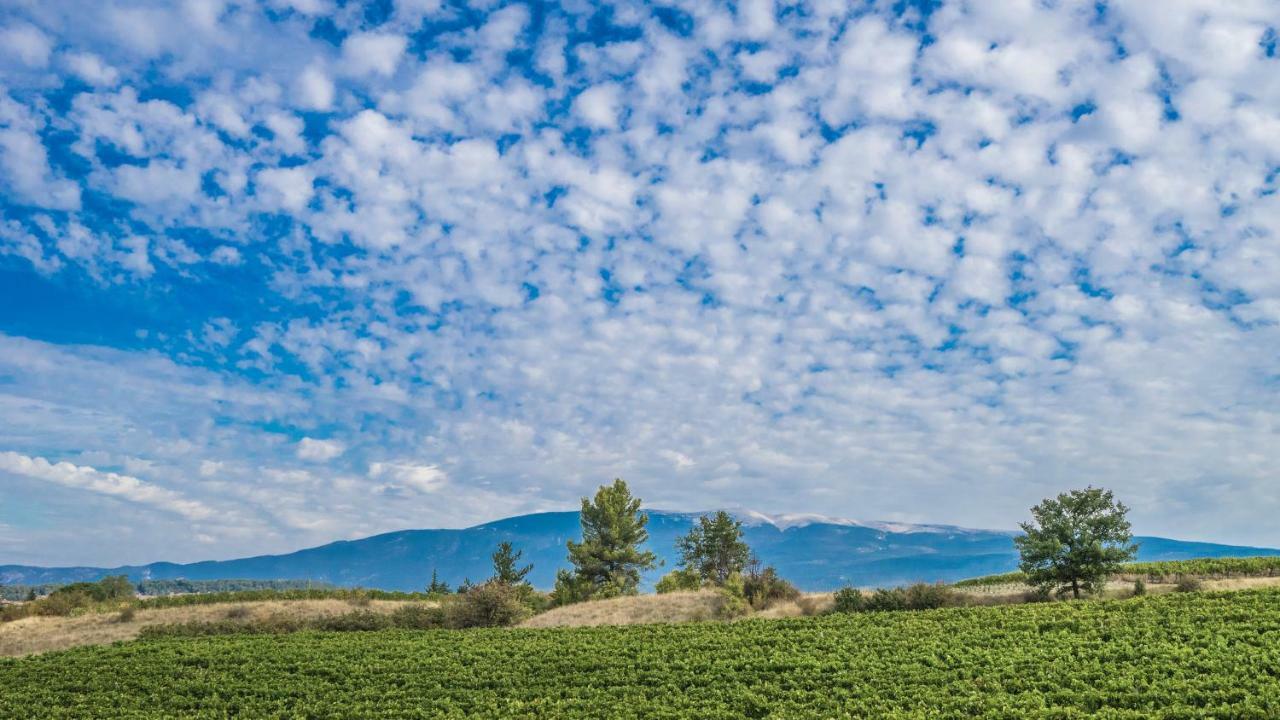 Les Terrasses De Cascavelle Villa Blauvac Dış mekan fotoğraf